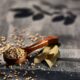 brown wooden spoon filled with seeds